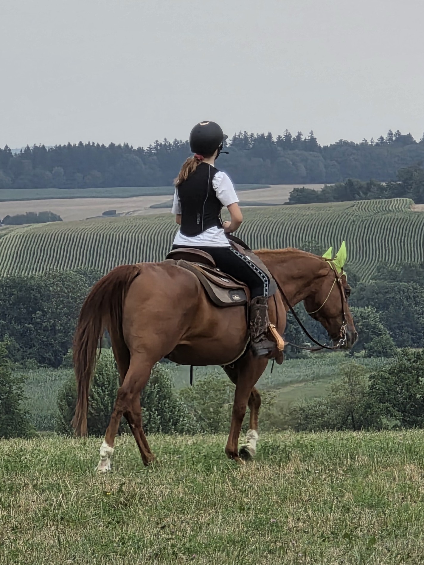 Reiten